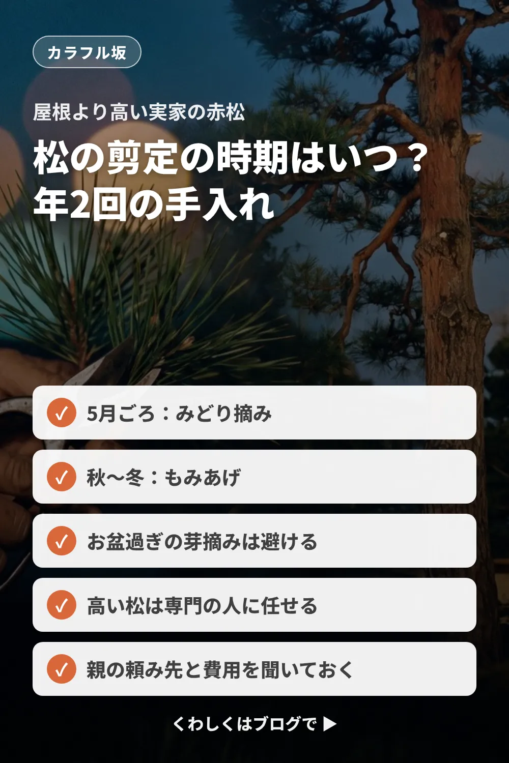 松の剪定は5月ごろのみどり摘みと秋〜冬のもみあげの年2回。高い松は専門の人に任せ、親の頼み先と費用を聞いておく