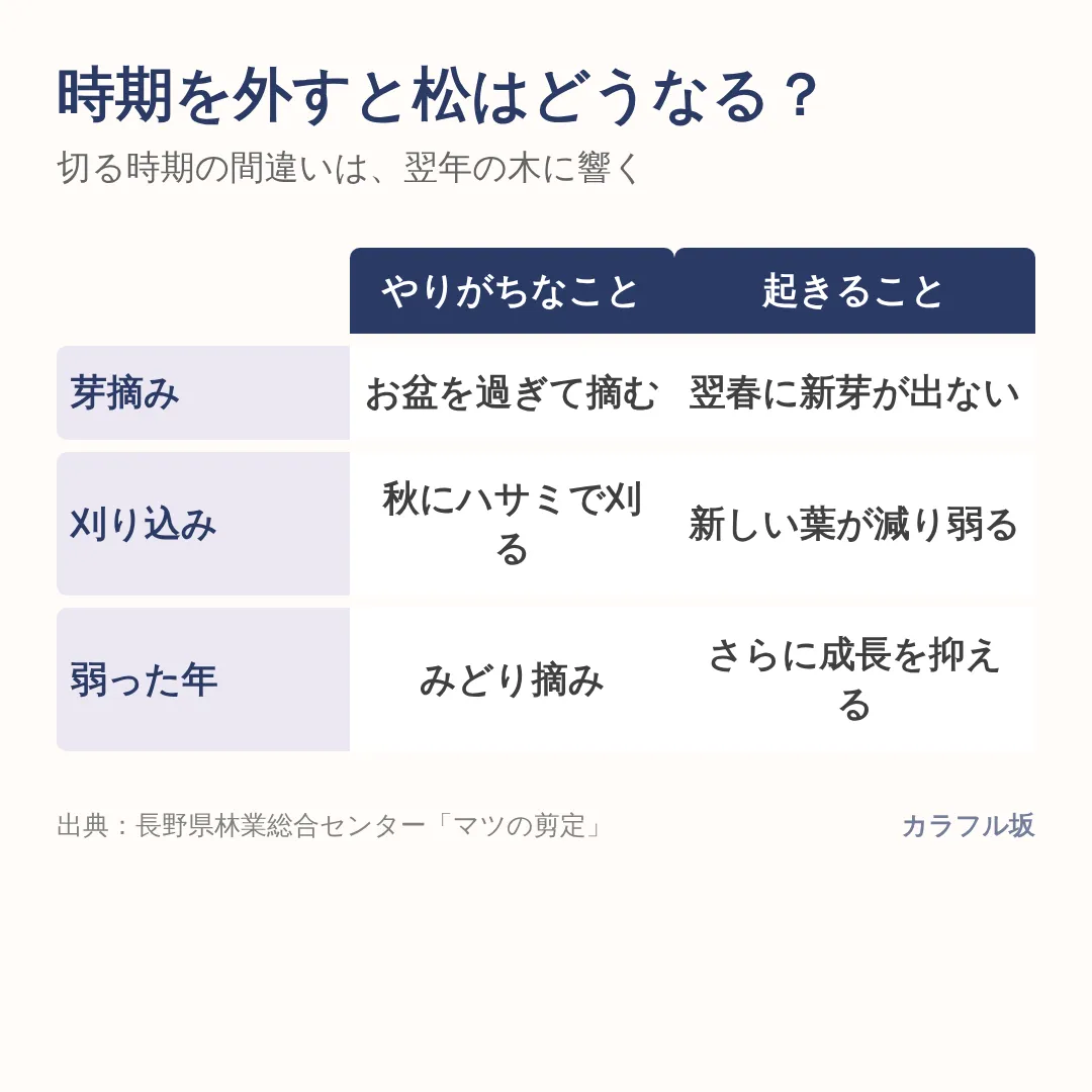 お盆過ぎの芽摘みは翌春の新芽を失い、秋の刈り込みは木が弱るきっかけになる